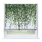 Зелёный занавес